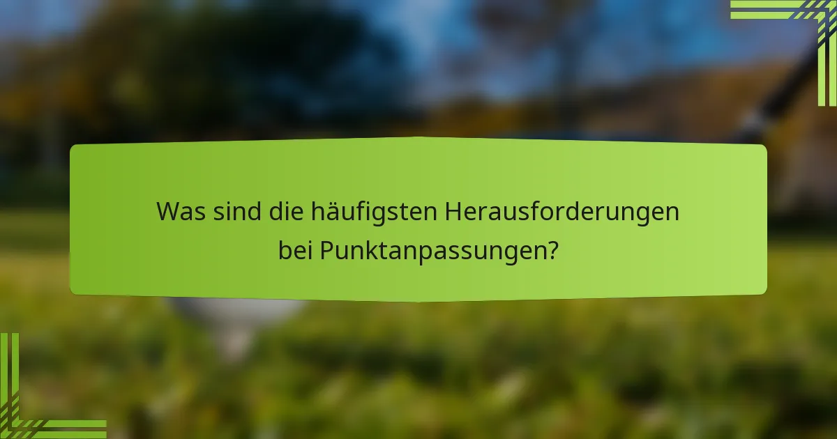 Was sind die häufigsten Herausforderungen bei Punktanpassungen?