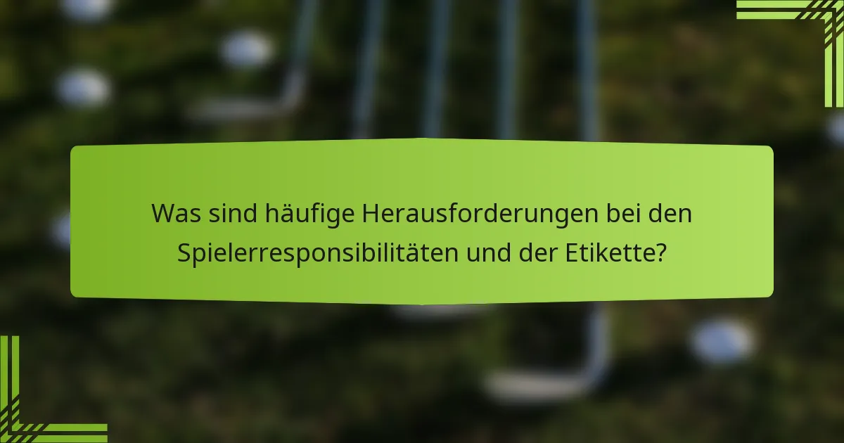 Was sind häufige Herausforderungen bei den Spielerresponsibilitäten und der Etikette?